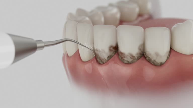 Reliable Dental contractor in Hallsville, MO by Dentist Open Now